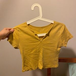 Brandy melville crop top